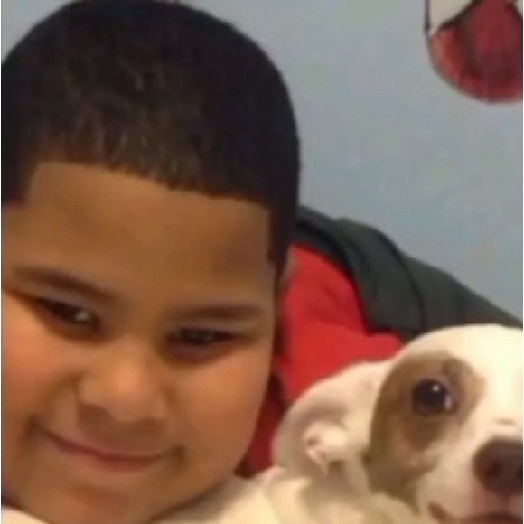 Meet your Posher, Kai - Picture 1 of 1